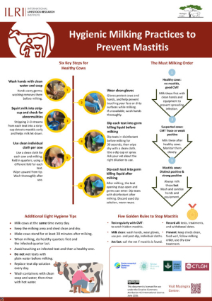 poster_Hygenic milk practices_26june2026.pdf.jpg